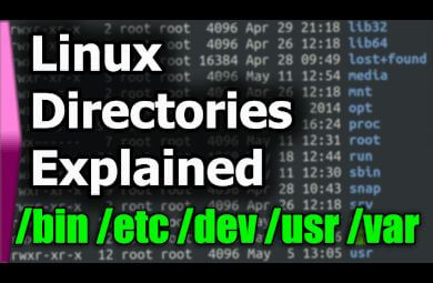 Linux File System/Structure Explained!