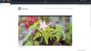 Finding Solace in Solus Linux